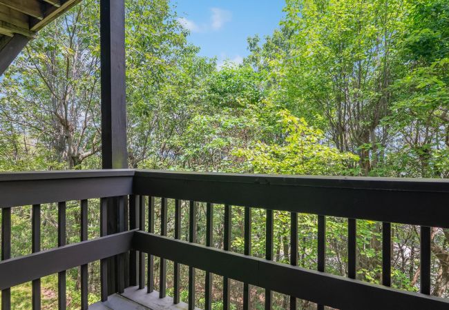 House in Tannersville - The Best Views From Camelback House in Tannersville - The Best Views From Camelback