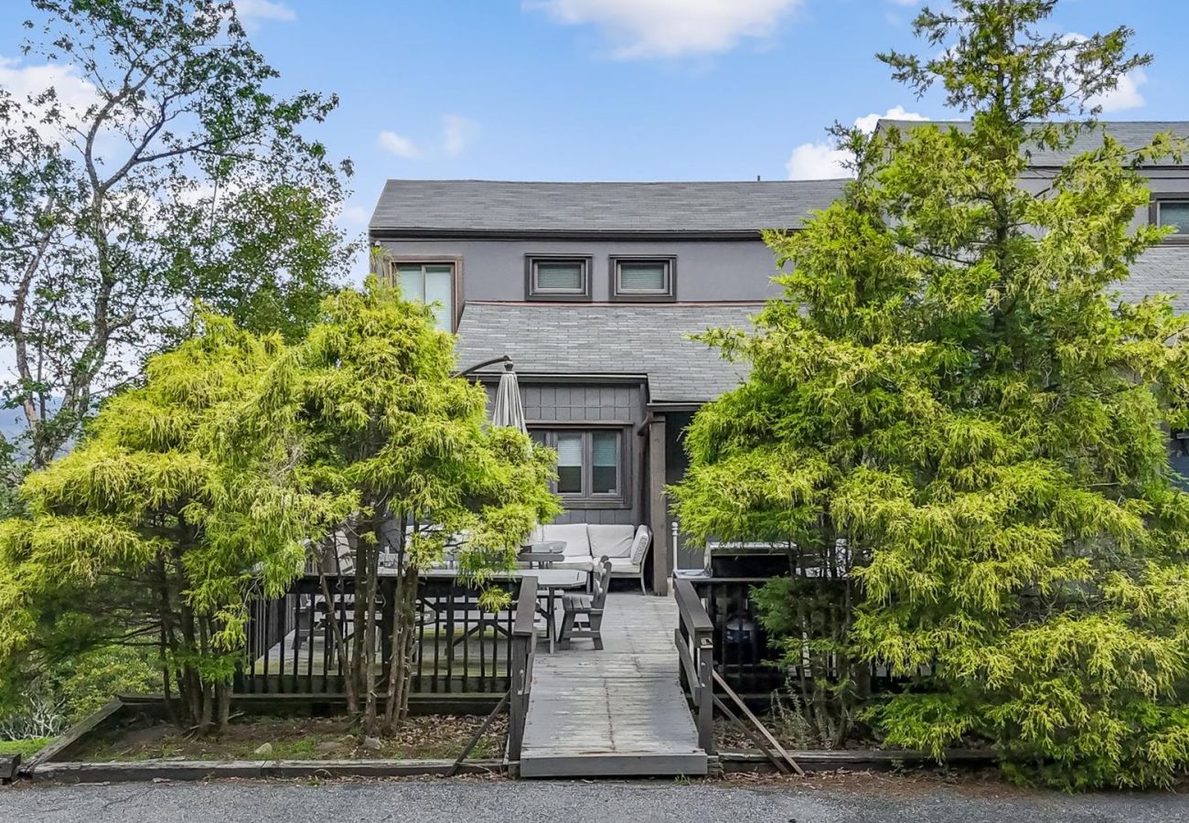 House in Tannersville - The Best Views From Camelback