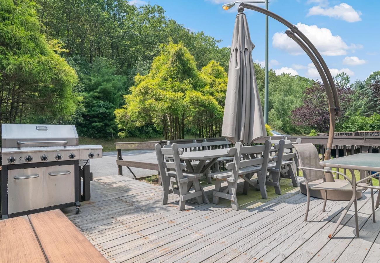 House in Tannersville - The Best Views From Camelback