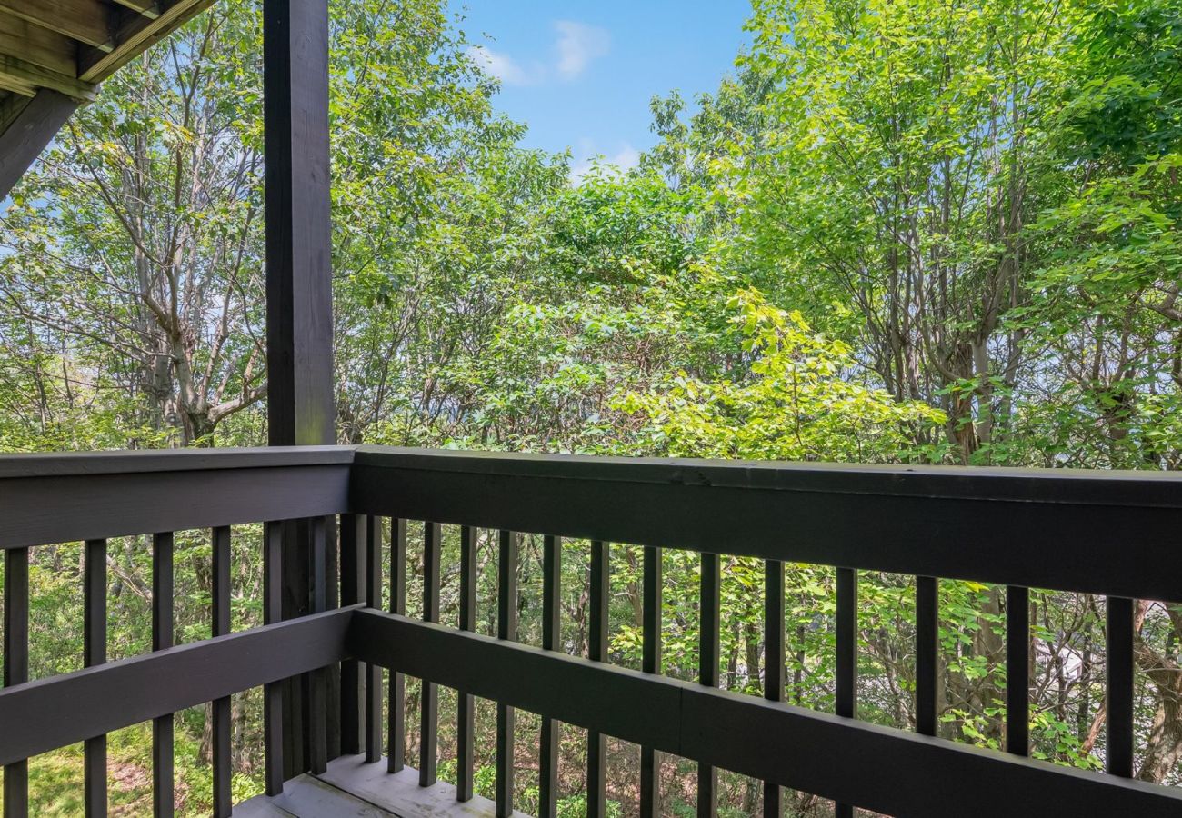 House in Tannersville - The Best Views From Camelback