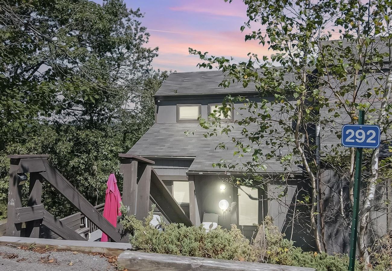 House in Tannersville - Cozy Modern Camelback House