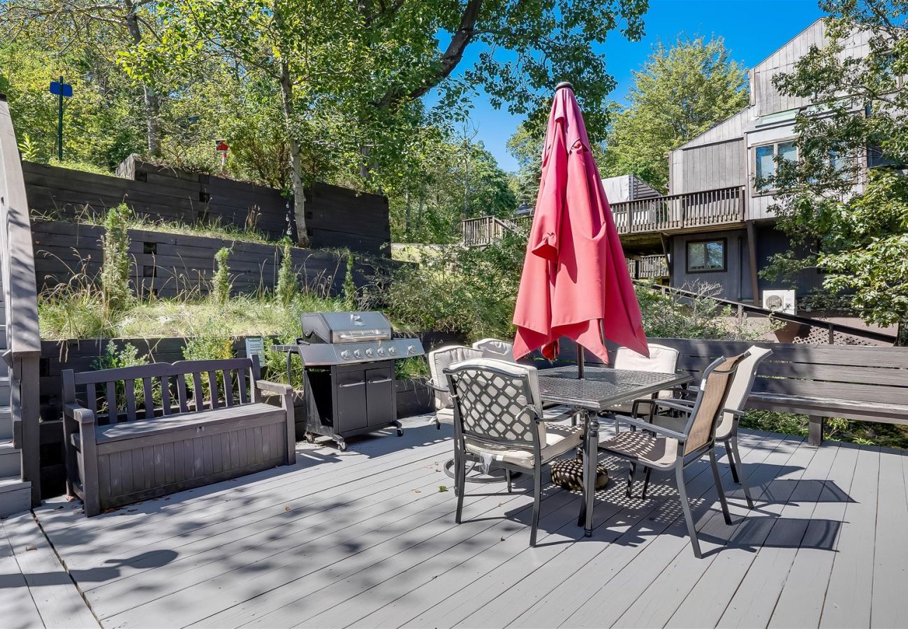 House in Tannersville - Cozy Modern Camelback House