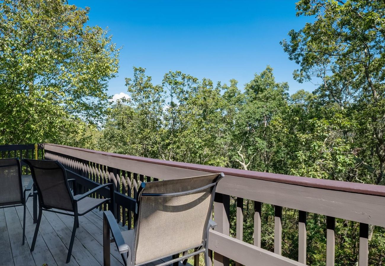 House in Tannersville - Cozy Modern Camelback House