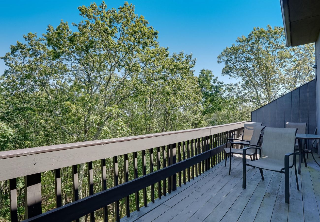 House in Tannersville - Cozy Modern Camelback House