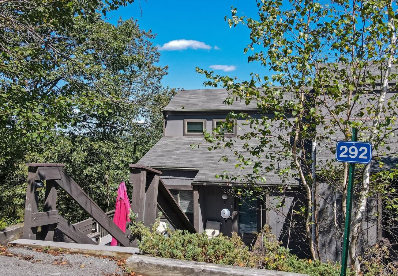 House in Tannersville - Cozy Modern Camelback House